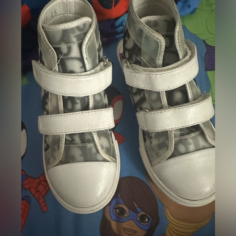 Christian Dior B23 High Top Shoes